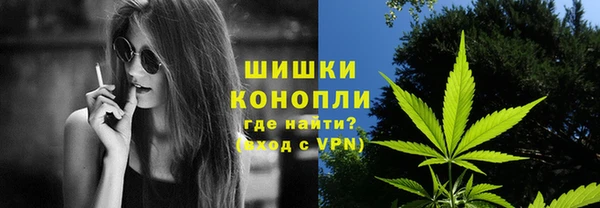 эйфоретик Заводоуковск