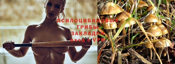 таблы Заволжск