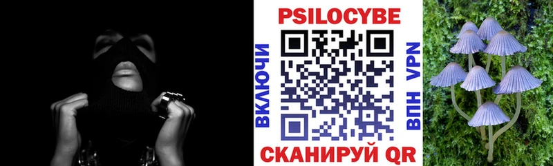 Псилоцибиновые грибы Psilocybine cubensis  купить наркоту  мега маркетплейс  Истра 